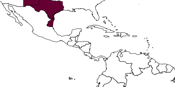 map of Diploplectron kantsi     Pate, 1941